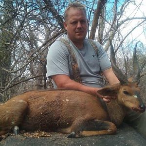 Hunt Bushbuck in Mozambique