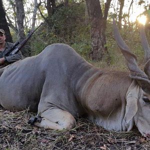 Mozambique Hunt Eland