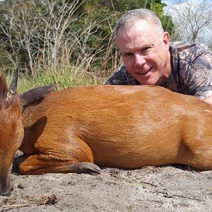 Hunting Red Duiker in Mozambique