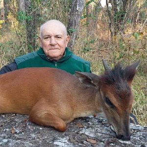 Mozambique Hunt Red Duiker