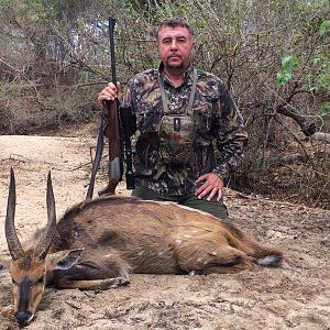 Hunt Bushbuck in Mozambique