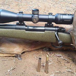 Suni Hunt Mozambique