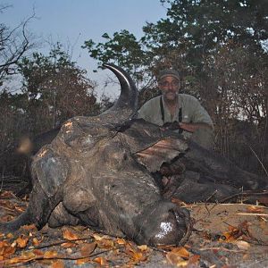 Hunting Buffalo in Mozambique