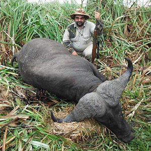 Mozambique Hunt Cape Buffalo