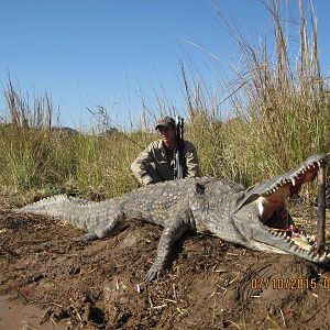 Mozambique Hunting Crocodile