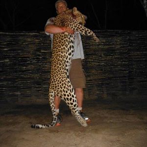 Leopard Hunting Mozambique