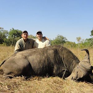 Mozambique Hunt Buffalo