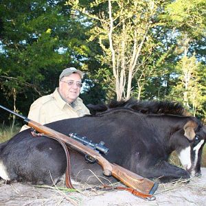 Hunt Sable Antelope in Mozambique