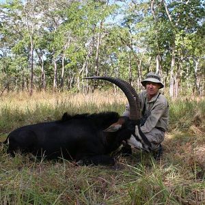 Mozambique Hunt Sable Antelope