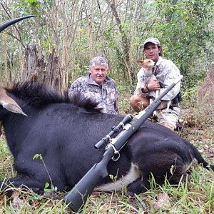 Sable Hunting Mozambique