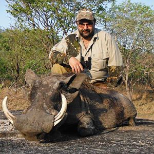 Hunt Warthog in Mozambique