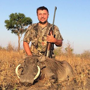 Mozambique Hunting Warthog