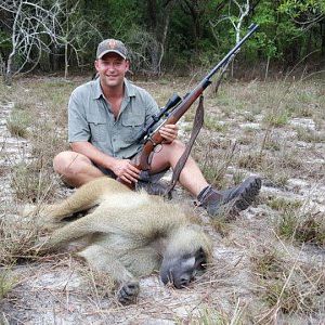 Baboon Hunting Mozambique