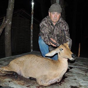 Mozambique Hunting Reedbuck