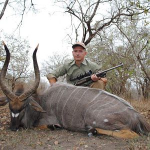 Nyala Hunting Mozambique