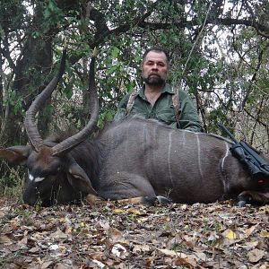 Hunt Nyala in Mozambique