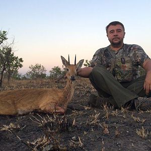 Mozambique Hunting Oribi