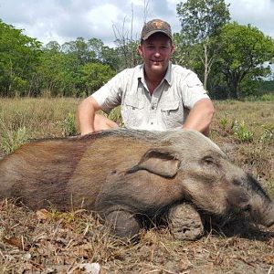 Bushpig Hunt Mozambique