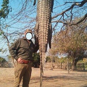 Mozambique Hunting Crocodile