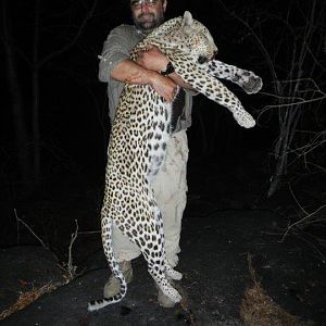 Hunt Leopard in Mozambique