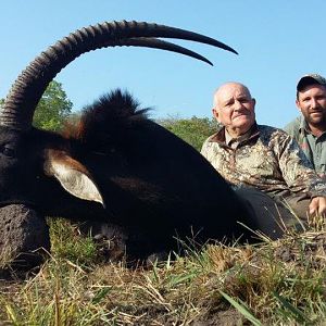 Mozambique Hunting Sable