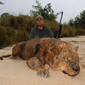 Lion Hunt Mozambique