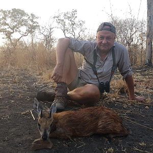 Hunt Red Duiker in Mozambique