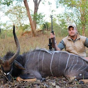 Mozambique Hunting Nyala