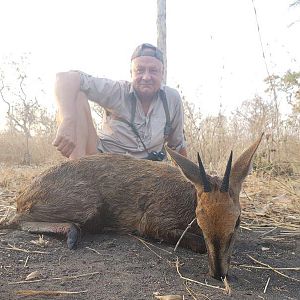 Hunting Duiker in Mozambique