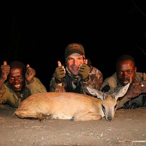 Mozambique Hunting Sharpe's Grysbok