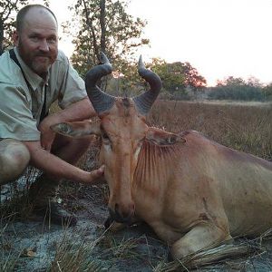 Lichtenstein's Hartebeest Hunt Mozambique