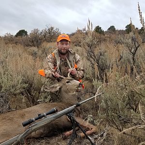 Mule Deer Hunt Colorado USA