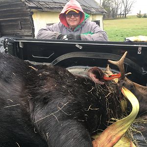 Canada Hunt Moose