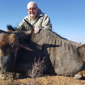 Blue Wildebeest Hunting South Africa