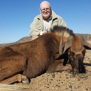 South Africa Hunt Black Wildebeest