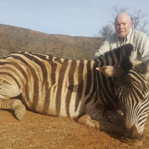 Burchell's Plain Zebra Hunt South Africa