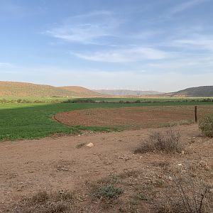 Hunting in South Africa