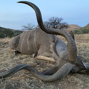 Kudu Hunting South Africa