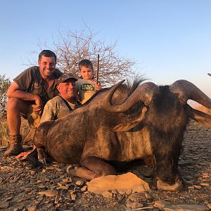 South Africa Hunt Blue Wildebeest