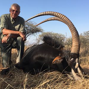 Hunt Sable Antelope in South Africa