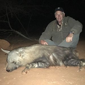 Hunting Brown Hyena in South Africa