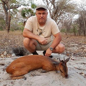 Red Duiker Hunt Mozambique