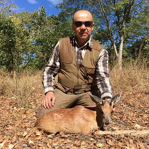 Sharpe's Grysbok Hunt Mozambique