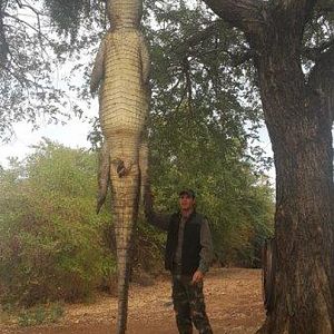 Hunt Crocodile in Mozambique