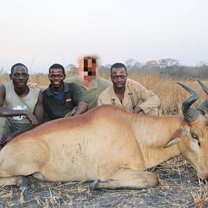 Mozambique Hunting Lichtenstein's Hartebeest