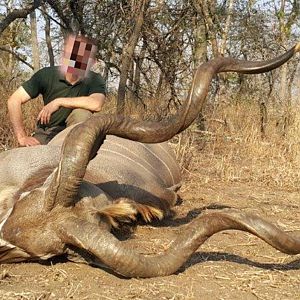 Kudu Hunting Mozambique