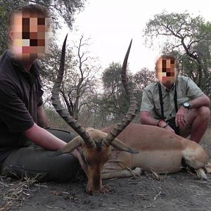 Impala Hunt Mozambique