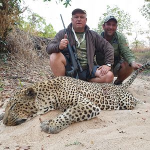 Mozambique Hunt Leopard