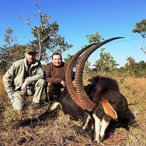 Mozambique Hunt Sable Antelope