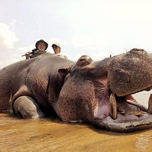 Hippo Hunt Mozambique